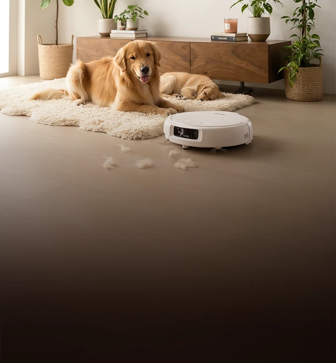 Dom bez sierści i błota – jaki robot sprzątający dla opiekunów zwierząt?