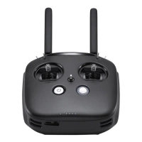 DJI FPV Remote Controller (Mode 2)
